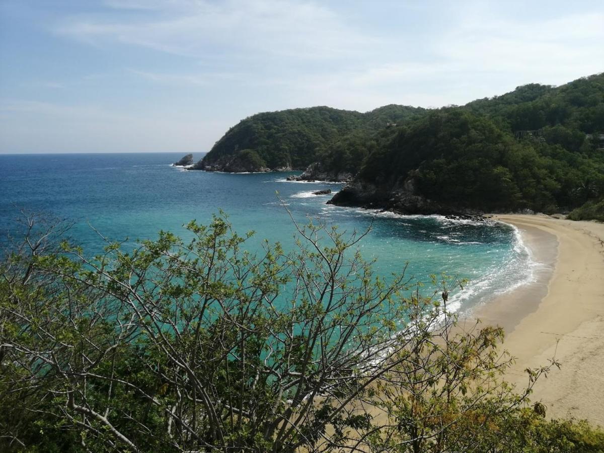 Casa Luna Playa 호텔 Puerto Ángel 외부 사진