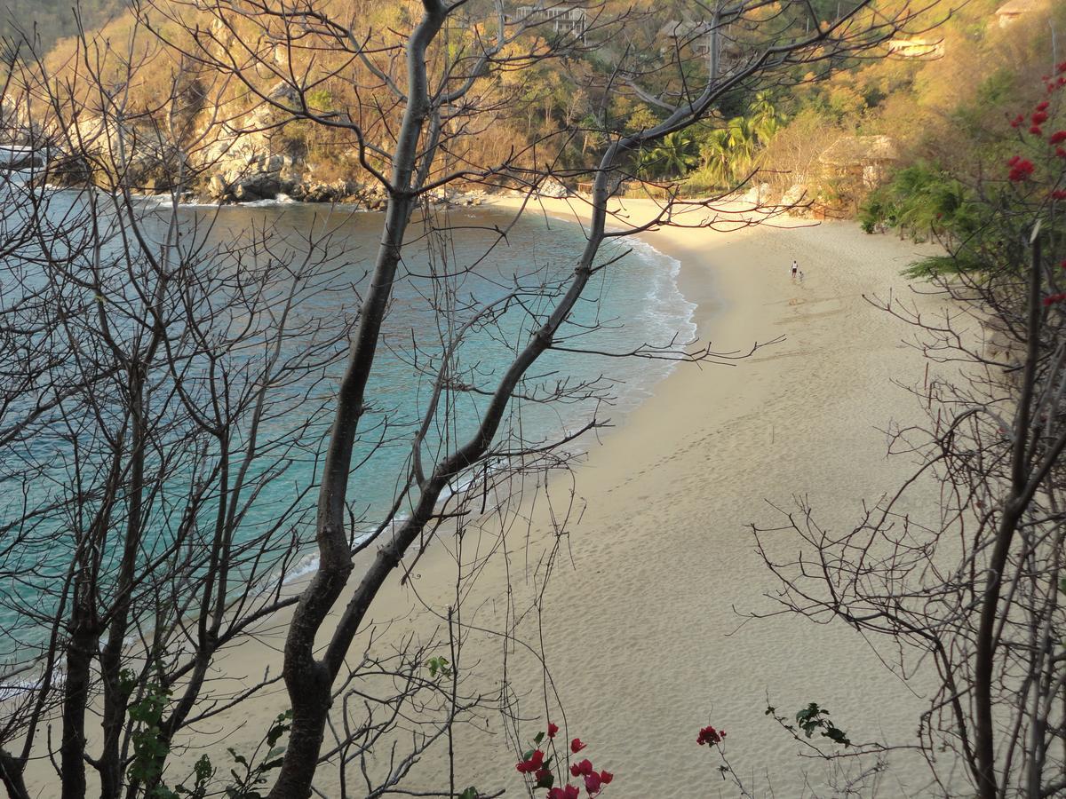 Casa Luna Playa 호텔 Puerto Ángel 외부 사진