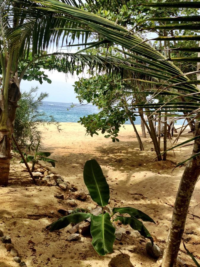 Casa Luna Playa 호텔 Puerto Ángel 외부 사진