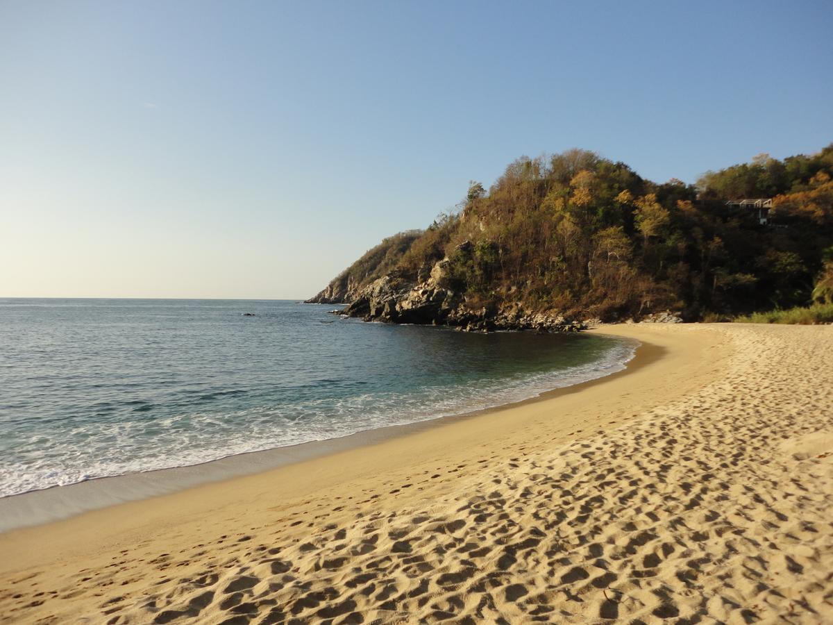 Casa Luna Playa 호텔 Puerto Ángel 외부 사진