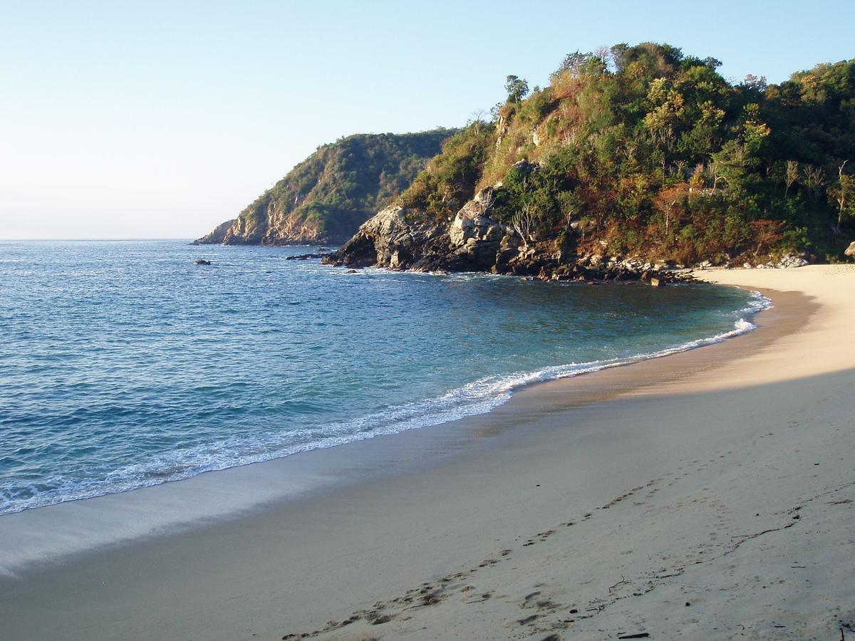 Casa Luna Playa 호텔 Puerto Ángel 외부 사진